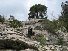 Klik za večjo sliko